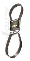 Dayco Poly-v Belt - 9PK1450