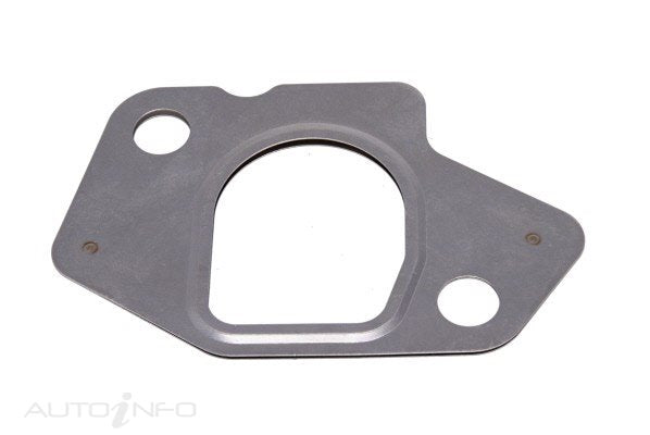 PAT Egr Gasket - GSK-069