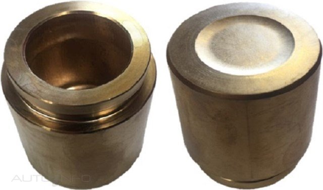 Protex Calibra Piston Front Isuzu Npr 05-On - 090P0511