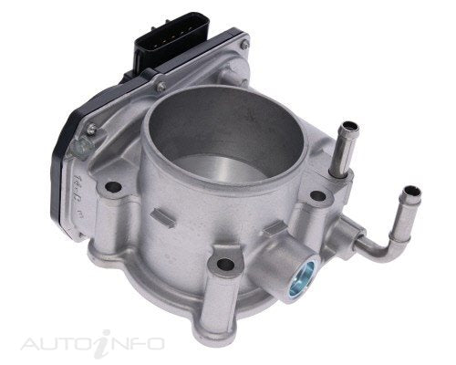 PAT Throttle Bodies - TBO-172
