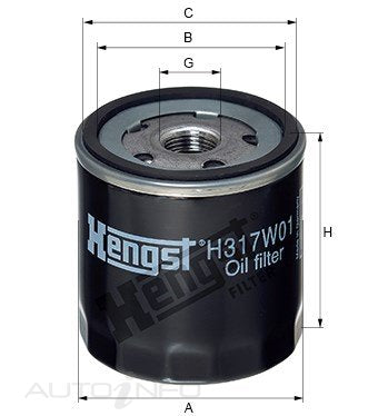 Hengst Oil Filter Audi Skoda VW - H317W01