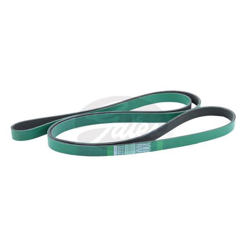 Gates Heavy Duty Micro-V Belt 6PK2439HD