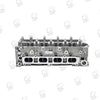 Kiwi Cylinder Head 10041326
