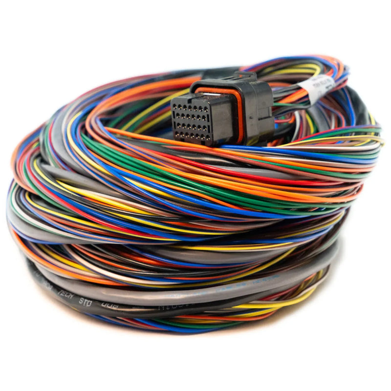 Link Loom Atom - 5mtr - Primary
