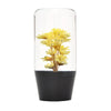 10cm Yellow Hana Gear Knob