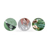 Clear PVC Heavy Duty Tarp 300x400cm Waterproof Plant Cover with Grommets — image 1