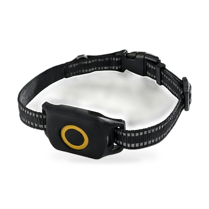 4G Wireless GPS Dog Tracker to suit Outdoor Use — image 1