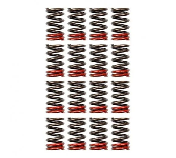 Tomei High Performance Valve Spring Set (Nissan SR20DE/DET) — fits Nissan Bluebird