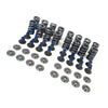 .660 Lift Dual Valve Spring Kit to suit LS1 LS2 LS3 LS4 LS6 LQ4 LQ9 Engines — image 1