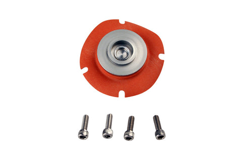 Aeromotive Reg Rebuild Kit Suit # 13113 ARO13006