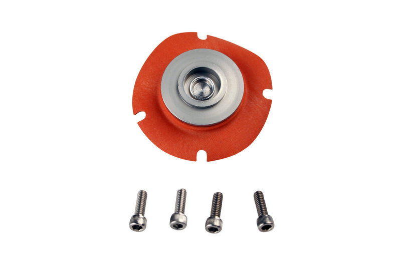 Aeromotive Reg Rebuild Kit Suit # 13113 ARO13006