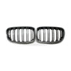 Carbon Texture Double Line Grille to suit BMW 1 Series F20 2011-2014 — image 1