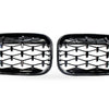 BMW 1 Series F20 F21 15-17 Meteor Gloss Black Plated Grille [Meteor Gloss Black] — image 4