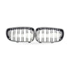 1 Series BMW E81 E87 08-11 Carbon Fiber Dual Line Front Grille Mesh — image 1