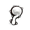 Water Pump Gasket to suit Ford Focus EcoSport Fiesta 1.0 EcoBoost — image 2