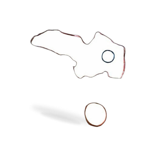 Intake Manifold Gasket to suit Ford Mondeo 2013-2022 Fusion Kuga Escape — image 2