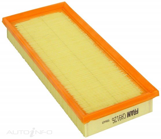 Fram Air Filter Ford 00-On07 2.0 - CA9126