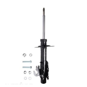Roadsafe STR Sealed Strut - R600330