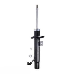 Roadsafe STR Sealed Strut LH Front - R600062