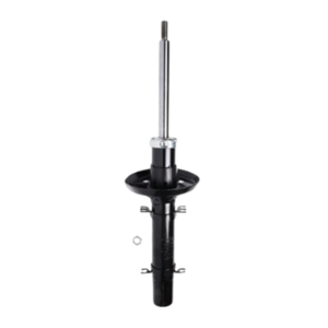 Roadsafe STR Sealed Strut - R600179