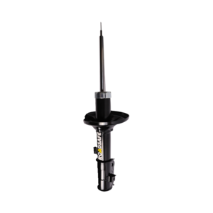 Roadsafe STR Sealed Strut - R600051