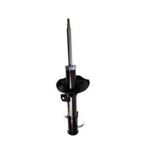 Roadsafe STR Sealed Strut - R600161