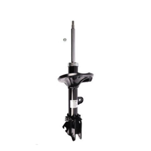 Roadsafe STR Sealed Strut - R600163