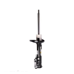 Roadsafe STR Sealed Strut - R600220