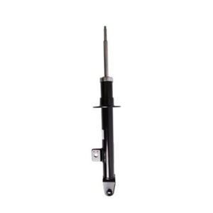 Roadsafe STR Sealed Strut - R600312