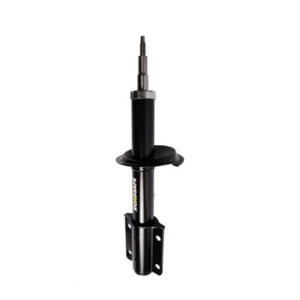 Roadsafe STR Sealed Strut - R600317