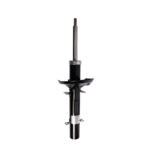 Roadsafe STR Sealed Strut - R600585