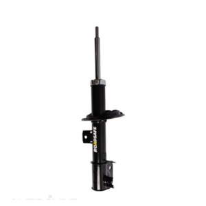 Roadsafe STR Sealed Strut - R600623