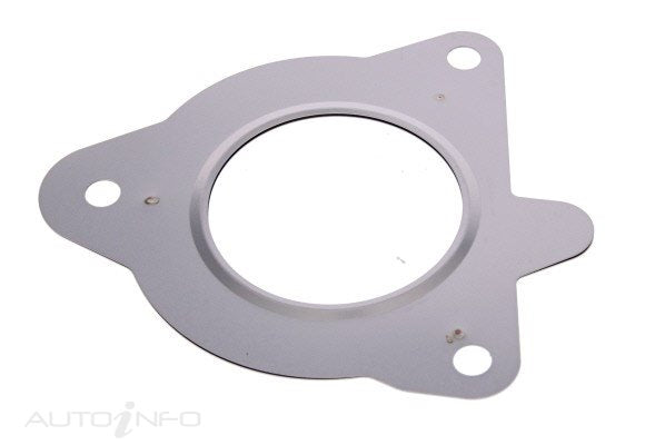 PAT Egr Gasket - GSK-038