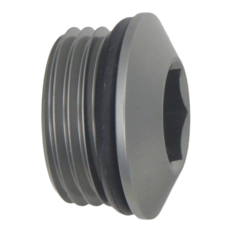 DeatschWerks 10AN ORB Male Plug Low Profile Internal