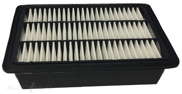 Wesfil Air Filter Hyundai Santa FE - WA5084