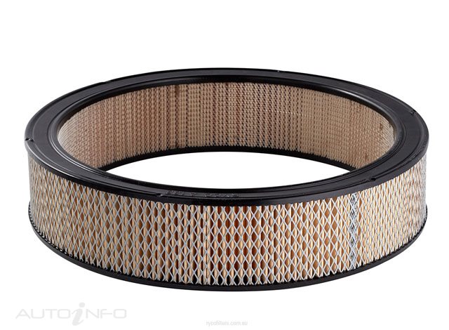 Ryco Air Filter Chevrolet - A133