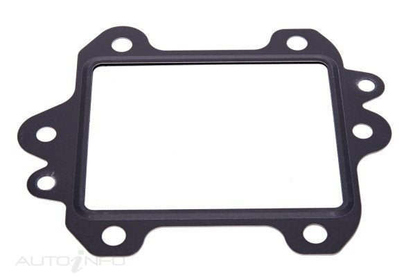 PAT Egr Gasket - GSK-031