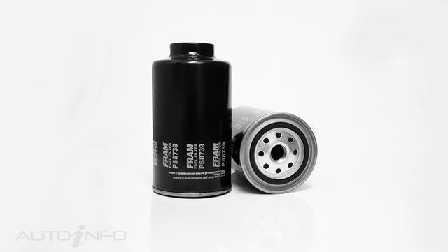 Fram Fuel Filter Hyundai Ford Mazda Isuzu M - PS8739