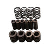6DCT450 Gearbox Clutch Retainer Springs Repair Kit (Pair) to suit Ford MPS6 — image 3