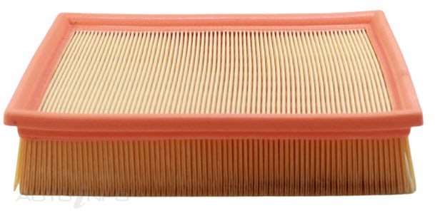 Wesfil Air Filter A1413 Bmw 3 Series - WA1006