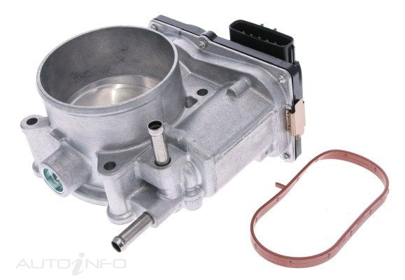 PAT Throttle Bodies - TBO-202
