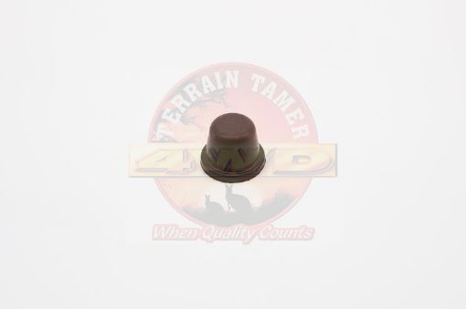 Terrain Tamer Cap Slave Cylinder Bleeder Plug - Terrain Tamer 4WD Parts