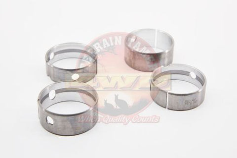 Terrain Tamer Bearing Set Cam 2h - Terrain Tamer 4WD Parts