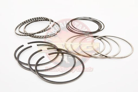 Terrain Tamer 2ing Set Piston 3l 0.50 - Terrain Tamer 4WD Parts