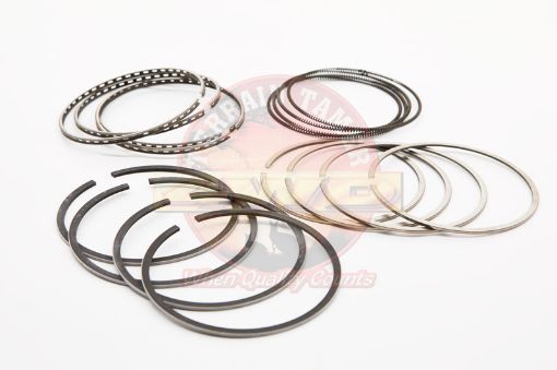 Terrain Tamer 2ing Set Piston 3l 0.50 - Terrain Tamer 4WD Parts