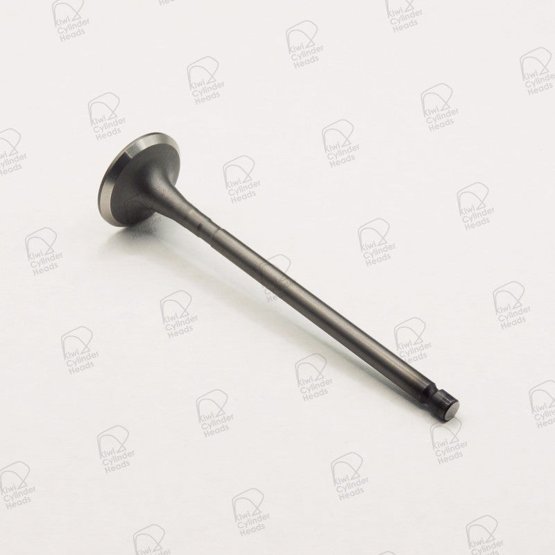 Kiwi Exhaust Valve 52090511