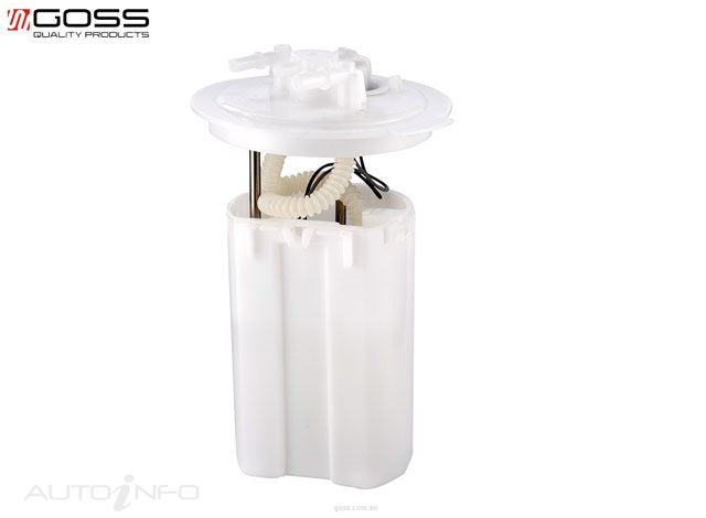Goss EFI Pump Ford Falcon BF FG Fpv - GE258