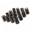 Valve Spring Kit to suit BMW X3 — image 2
