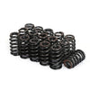 Beehive Valve Spring Kit to suit GM LS Engines 4.8L 5.3L 6.2L — image 4
