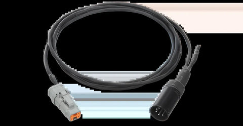 Motec CAN ECU to Display Loom